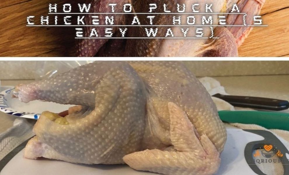 How To Pluck A Chicken At Home
