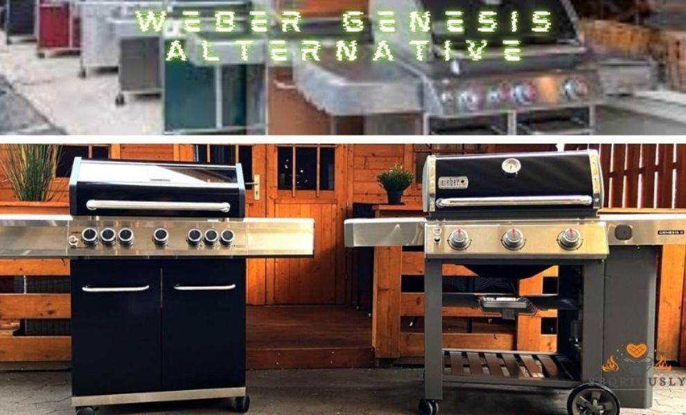 weber genesis alternative