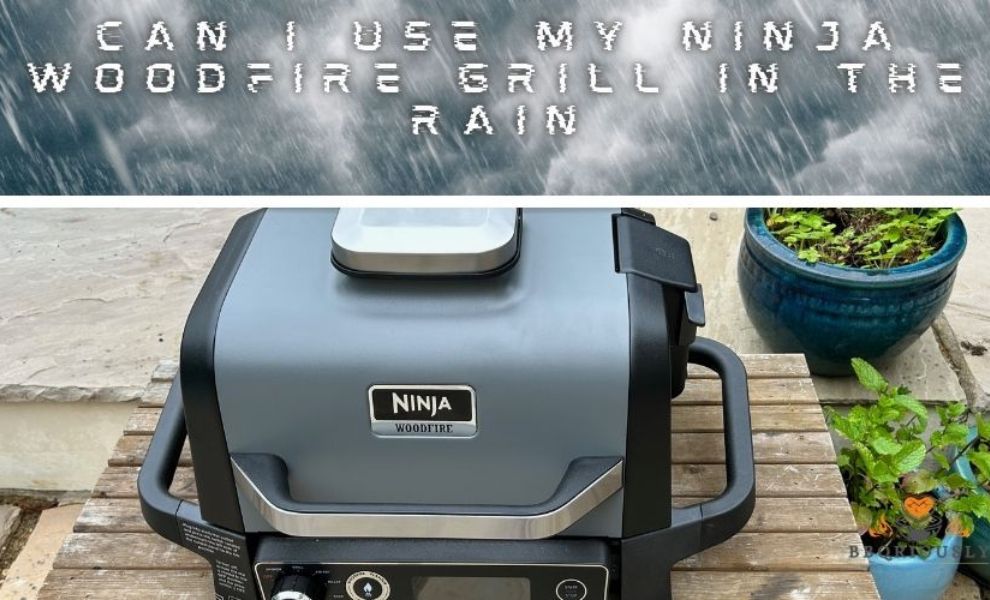 Can I Use My Ninja Woodfire Grill In The Rain